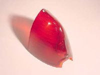 1951 to 1953 Cadillac Tail Light lens